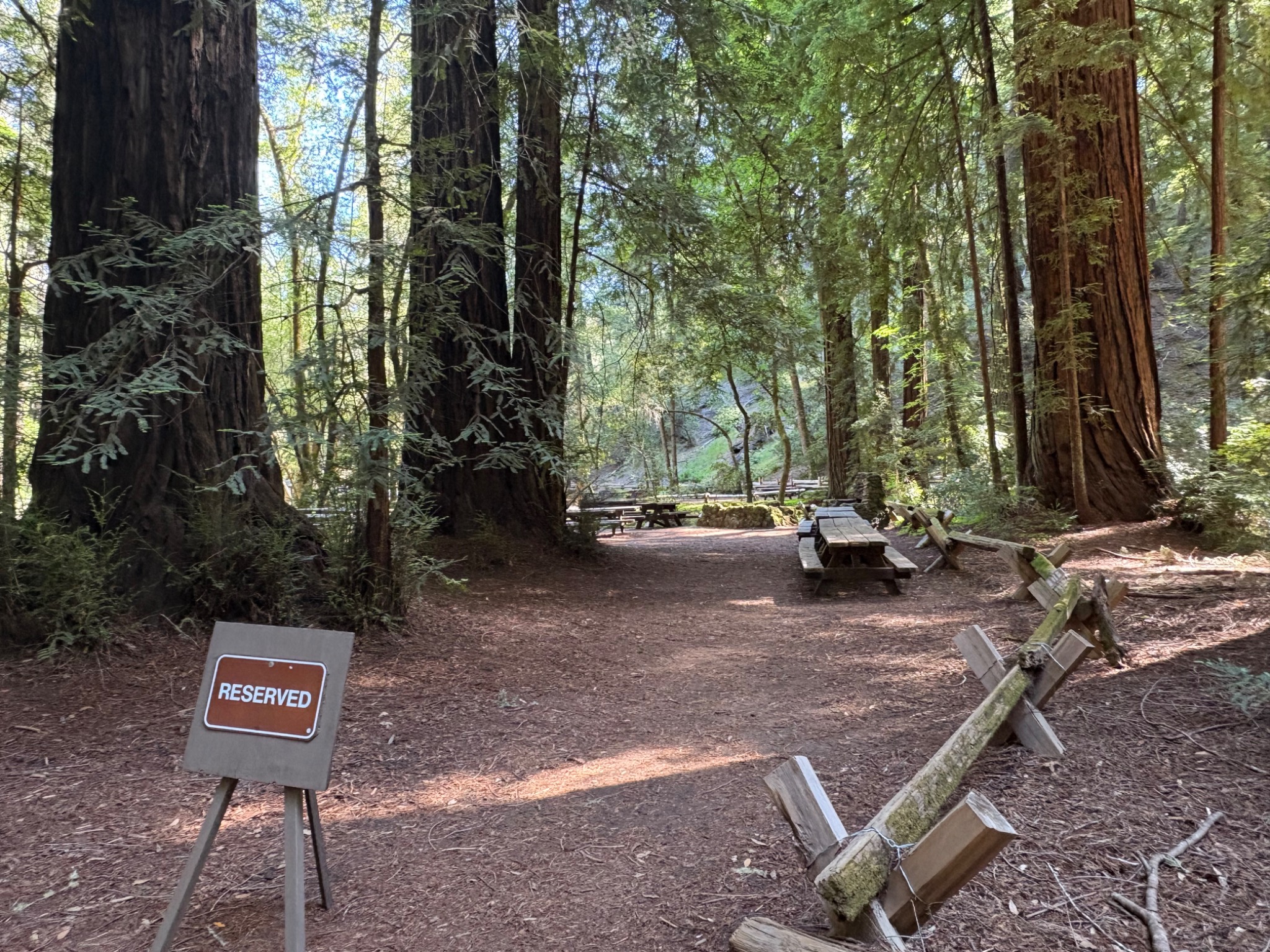 Armstrong Redwoods State Natural Reserve